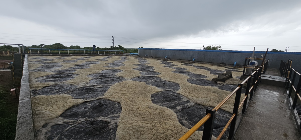Sludge dewatering using our STT conveyor give us excellent quality organic compost.